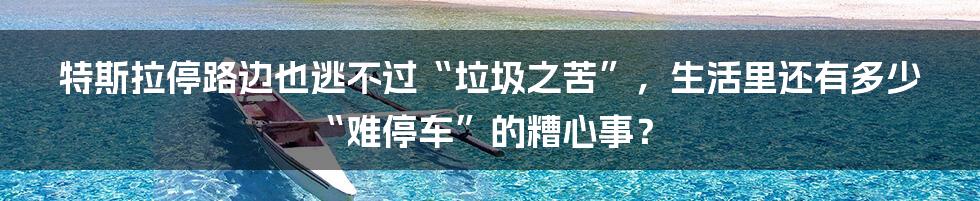 特斯拉停路边也逃不过“垃圾之苦”，生活里还有多少“难停车”的糟心事？