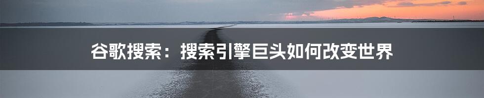 谷歌搜索：搜索引擎巨头如何改变世界