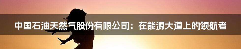 中国石油天然气股份有限公司:在能源大道上的领航者