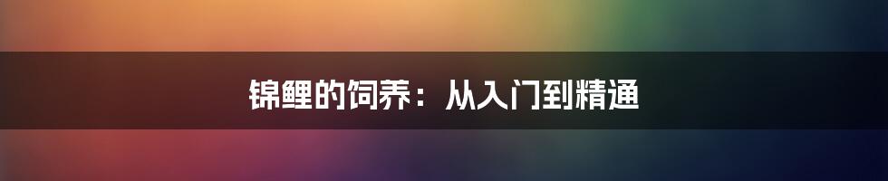 锦鲤的饲养:从入门到精通