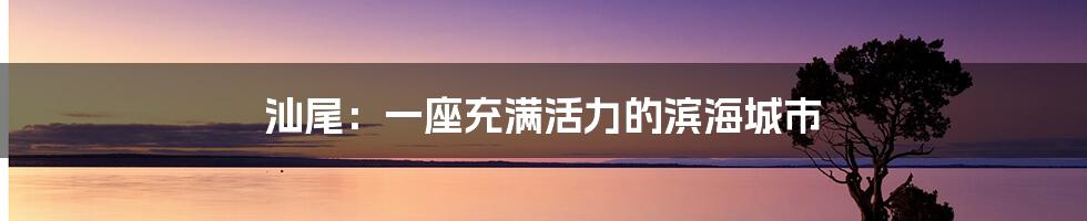 汕尾：一座充满活力的滨海城市