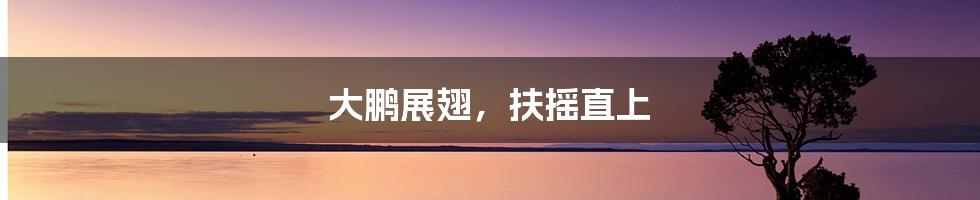 大鹏展翅,扶摇直上