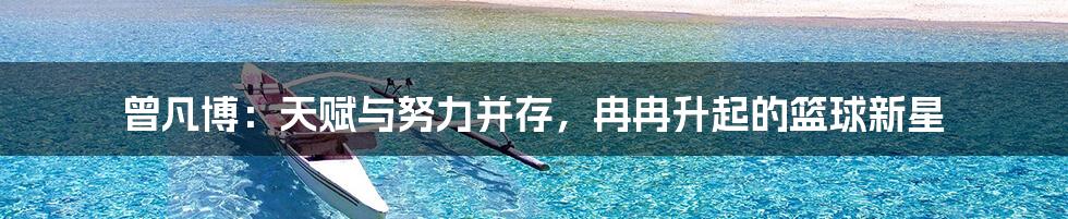 曾凡博:天赋与努力并存,冉冉升起的篮球新星