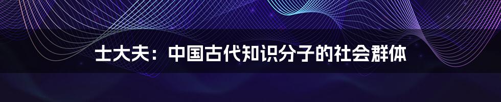 士大夫:中国古代知识分子的社会群体