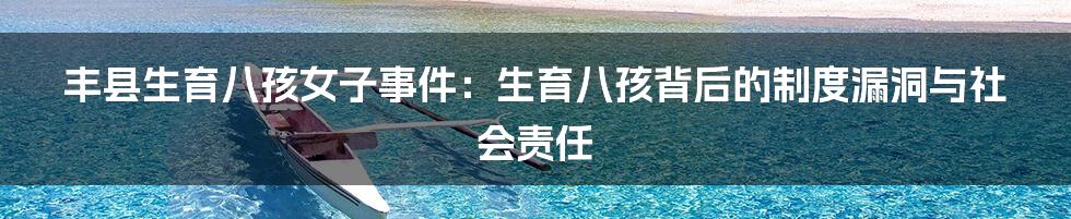 丰县生育八孩女子事件：生育八孩背后的制度漏洞与社会责任