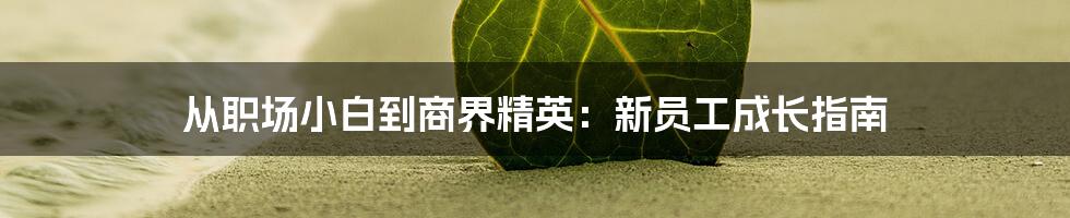 从职场小白到商界精英：新员工成长指南