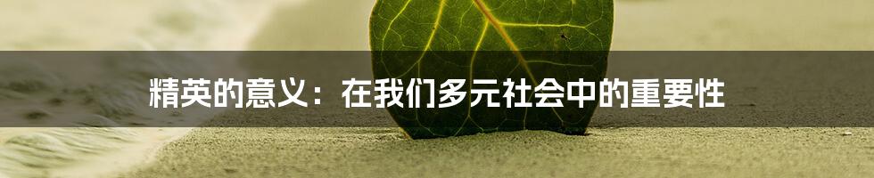 精英的意义：在我们多元社会中的重要性