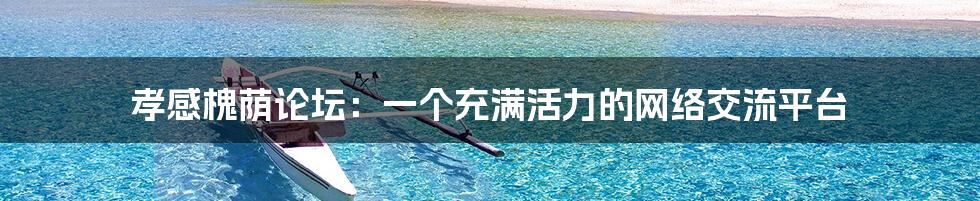 孝感槐荫论坛:一个充满活力的网络交流平台
