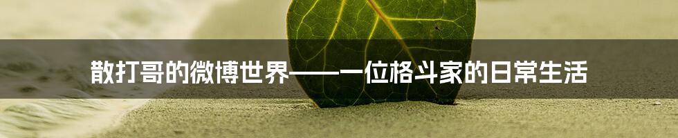 散打哥的微博世界——一位格斗家的日常生活