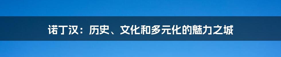 诺丁汉：历史、文化和多元化的魅力之城