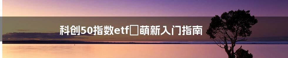 科创50指数etfの萌新入门指南