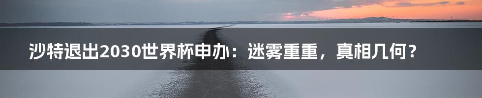 沙特退出2030世界杯申办:迷雾重重,真相几何?
