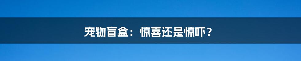 宠物盲盒:惊喜还是惊吓?