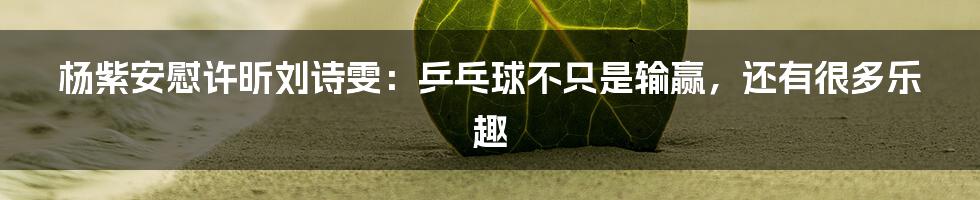 杨紫安慰许昕刘诗雯:乒乓球不只是输赢,还有很多乐趣