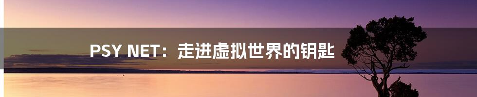 PSY NET:走进虚拟世界的钥匙