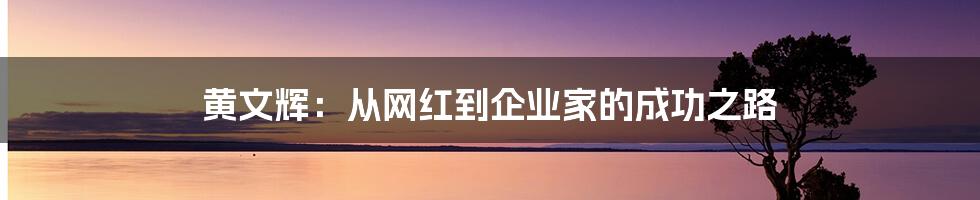 黄文辉：从网红到企业家的成功之路