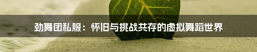 劲舞团私服:怀旧与挑战共存的虚拟舞蹈世界