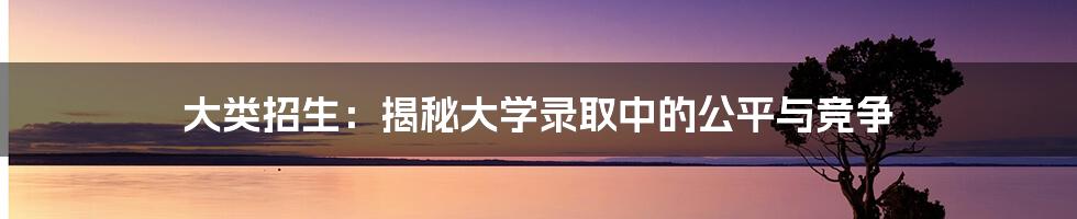 大类招生:揭秘大学录取中的公平与竞争