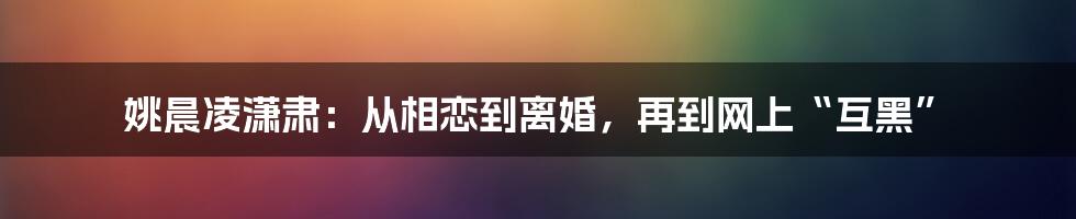 姚晨凌潇肃：从相恋到离婚，再到网上“互黑”