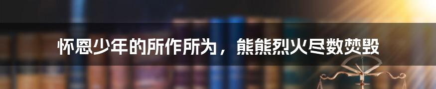 怀恩少年的所作所为，熊熊烈火尽数焚毁