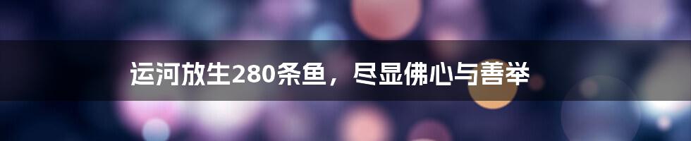 运河放生280条鱼,尽显佛心与善举
