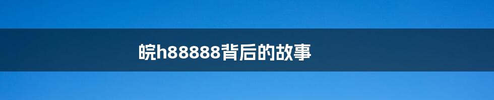 皖h88888背后的故事