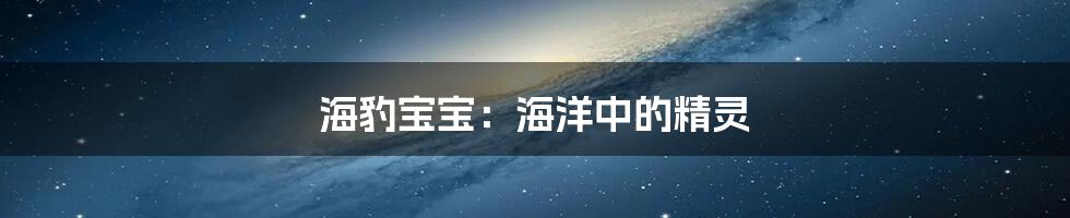海豹宝宝:海洋中的精灵