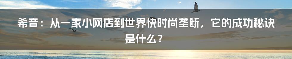 希音:从一家小网店到世界快时尚垄断,它的成功秘诀是什么?