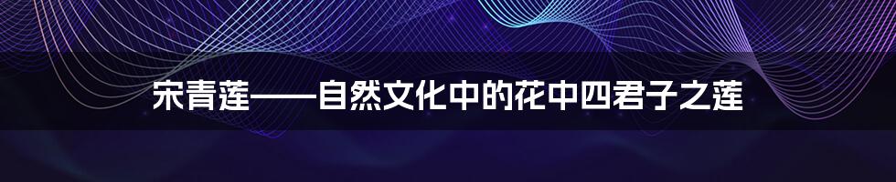 宋青莲——自然文化中的花中四君子之莲
