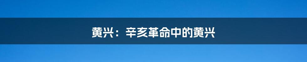 黄兴：辛亥革命中的黄兴