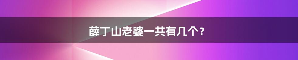 薛丁山老婆一共有几个？