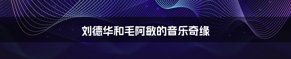 刘德华和毛阿敏的音乐奇缘