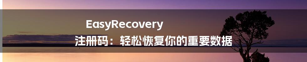 EasyRecovery 注册码：轻松恢复你的重要数据
