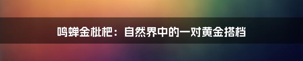 鸣蝉金枇杷:自然界中的一对黄金搭档