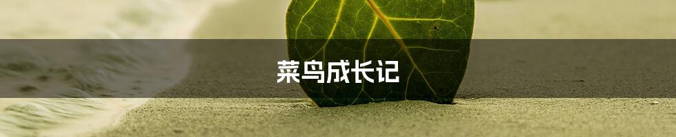 菜鸟成长记