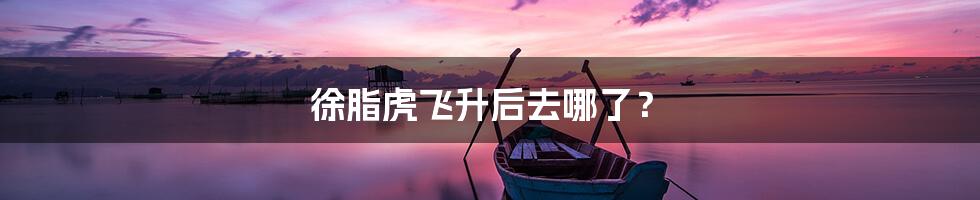 徐脂虎飞升后去哪了？