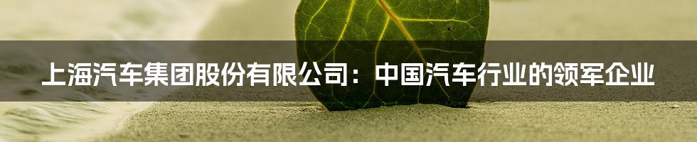 上海汽车集团股份有限公司:中国汽车行业的领军企业