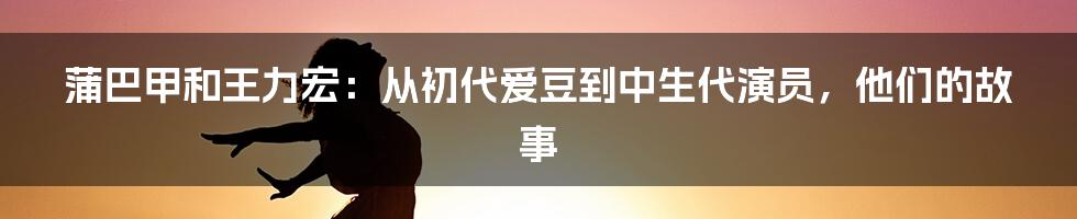 蒲巴甲和王力宏：从初代爱豆到中生代演员，他们的故事