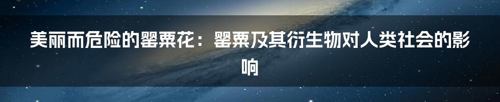 美丽而危险的罂粟花：罂粟及其衍生物对人类社会的影响