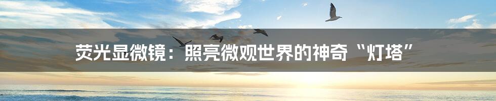 荧光显微镜:照亮微观世界的神奇“灯塔”