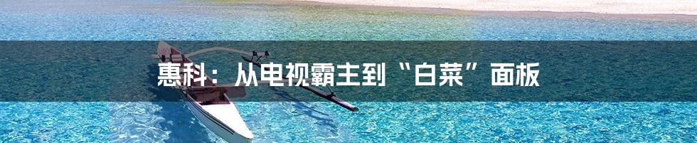 惠科：从电视霸主到“白菜”面板