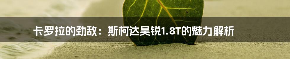 卡罗拉的劲敌:斯柯达昊锐1.8T的魅力解析