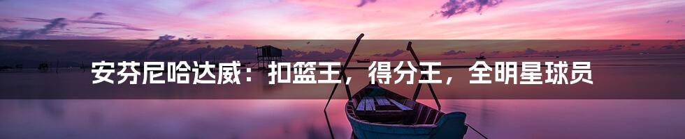 安芬尼哈达威:扣篮王,得分王,全明星球员
