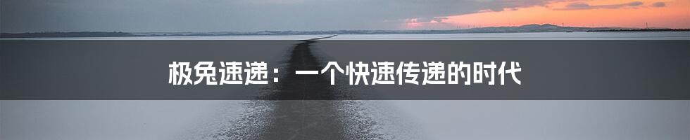 极兔速递：一个快速传递的时代