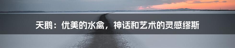 天鹅:优美的水禽,神话和艺术的灵感缪斯