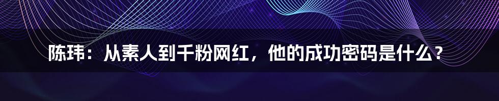 陈玮：从素人到千粉网红，他的成功密码是什么？