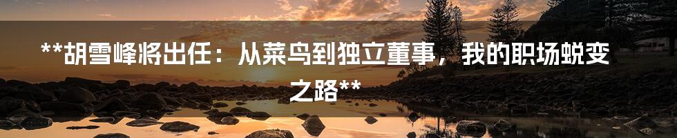 **胡雪峰将出任：从菜鸟到独立董事，我的职场蜕变之路**