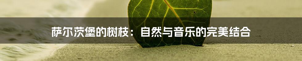 萨尔茨堡的树枝：自然与音乐的完美结合