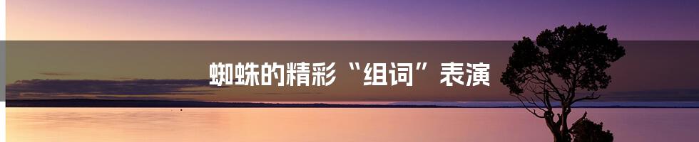 蜘蛛的精彩“组词”表演