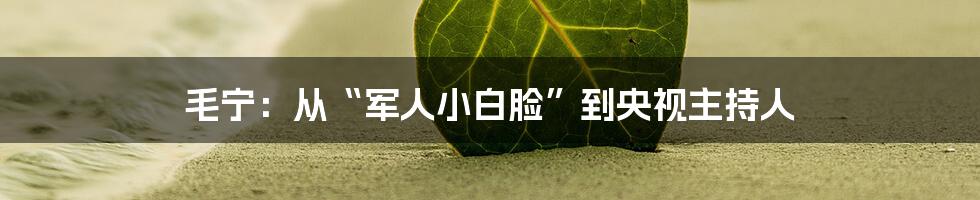毛宁：从“军人小白脸”到央视主持人